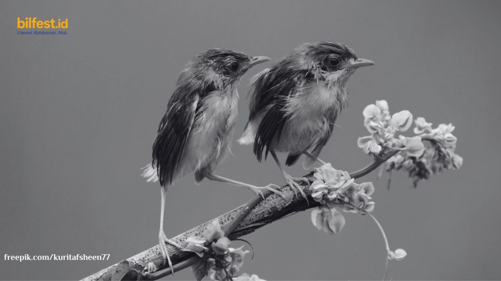 Dialog Burung; Pada Rimba yang Nyaris Mati