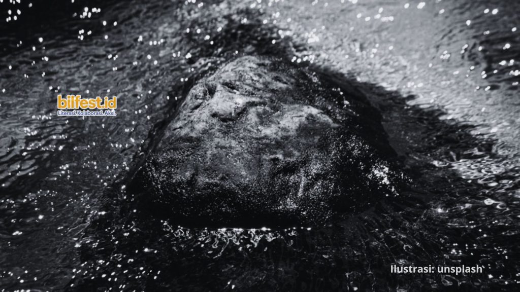 Hujan Jatuh di atas Batu dan Puisi Lainnya