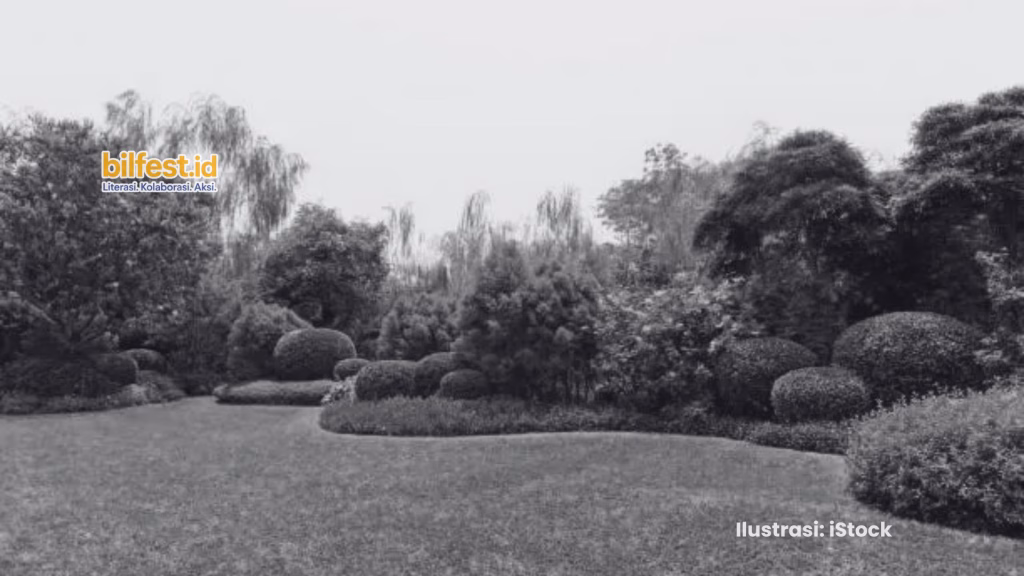 Tamanku yang Masih Sepi