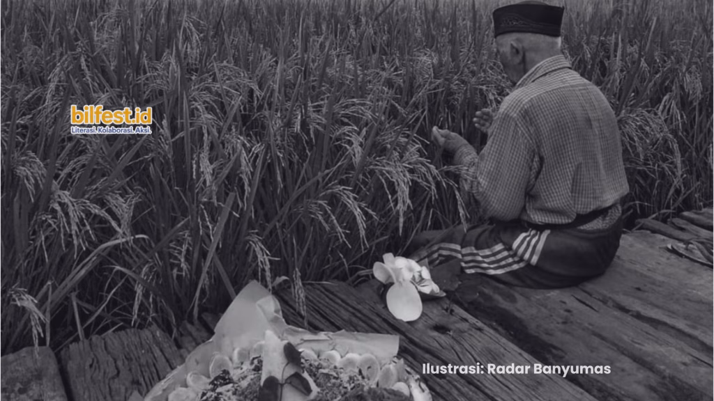 Mimiti Pari: Tradisi Syukur Petani dalam Menjaga Alam dan Warisan Pengetahuan