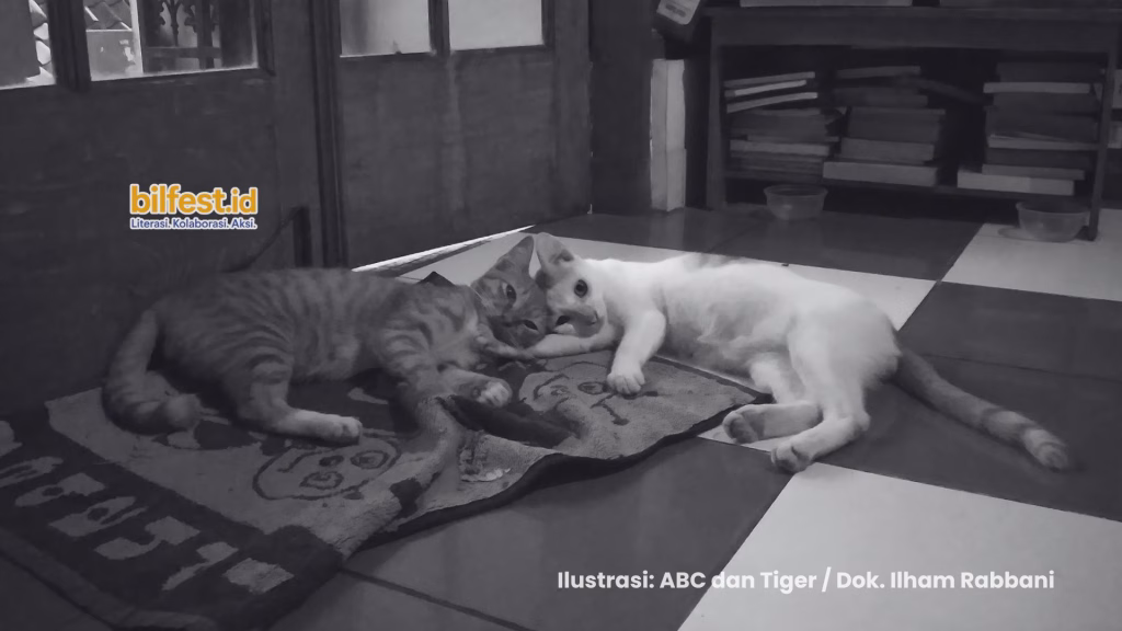 Finna, Keluarga Caca, dan Bencana-Bencana