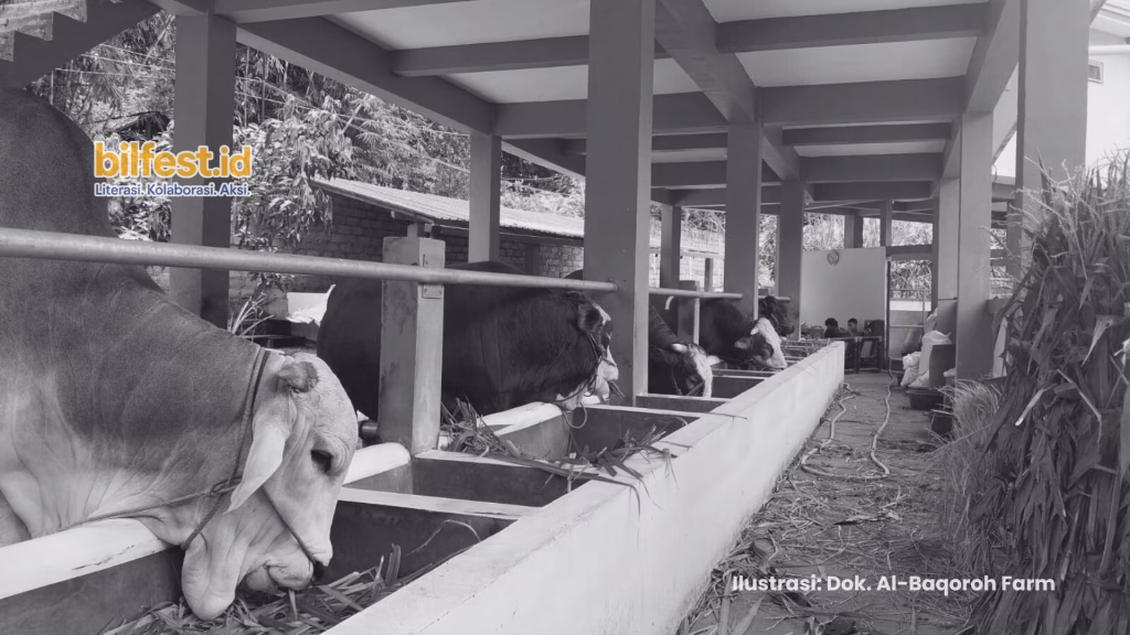 Syawal 1447 H: Dari Lebaran hingga Al-Baqoroh Farm