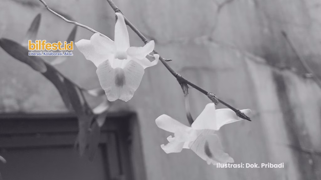 Panduan Memulai Orchidelirium bagi Pemula yang Terlalu Banyak Berpikir