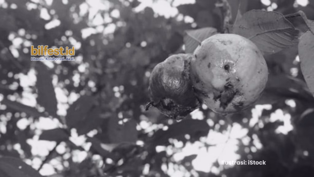 Janji yang Bukan Jambu